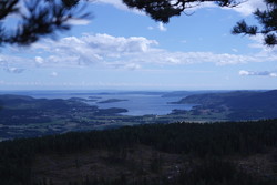 Siljukollen