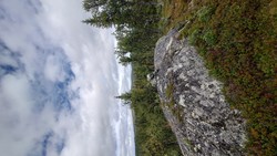 Rukehaugen