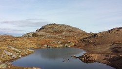 Hjelmkona nord