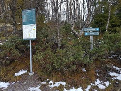 Svarahøvdkrysset