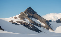 Dama
