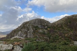 Stornipa