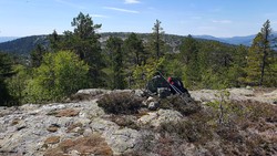 Nord for Gulnostjørnane