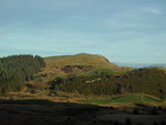 Hestvarden