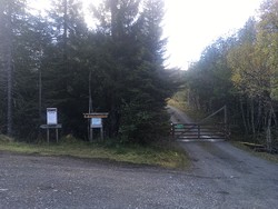 Lyngsvollen P-plass