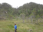 Småskarhaugan midt
