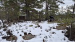 Bjørfjell