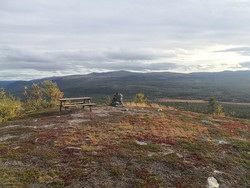 Volskarven
