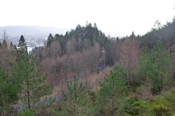 Lisahaugen