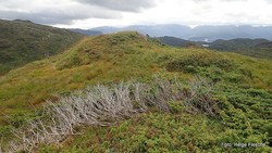 Høystakken
