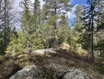 Grevlingåsen Grevlingåsen