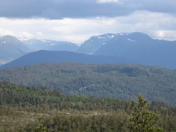 Bjørnehaugen