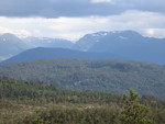 Bjørnehaugen