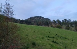 Ulvanutane