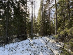 Sjelåsæteråsen