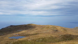 Rosethaugane