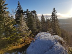 Svartberget