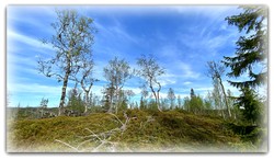 Nordbutjønnåsen