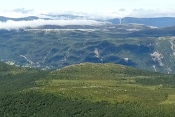Eikelandsknoltren