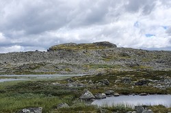Situnuten