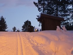 Trollhaugan gapahuk
