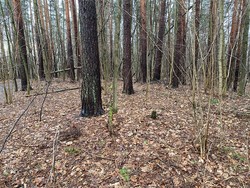 Hengsåsen Øst