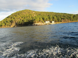 Stamnesøya