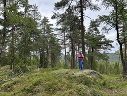 Kolåshøgda