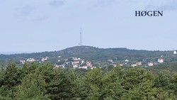 Høgen
