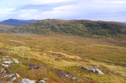 Nautfjellet
