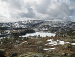 Troppeknuten