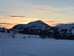 Mjuken
