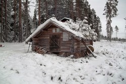 Brutjernskoia