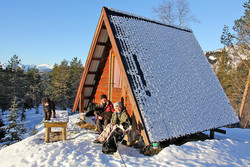 Høgehaug