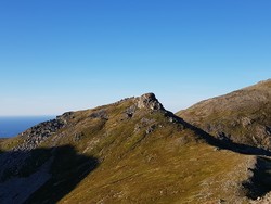 Spikarheia