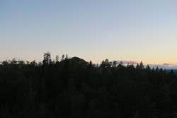 Surtvarden