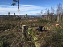 Nord for Leium