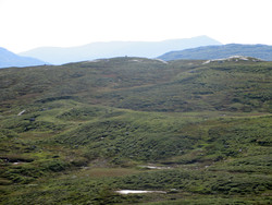 Skeisheia