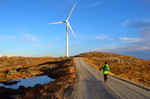 Lauvdalsvarden