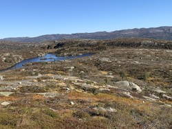 Rysefjellet