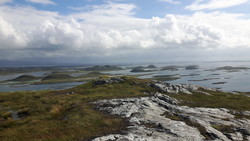 Vardøya båtrute
