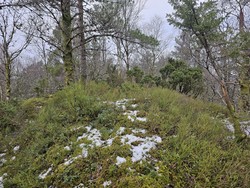 Hjortlandsåsen