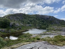 Stølsknuten