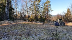Buktåsen Sør
