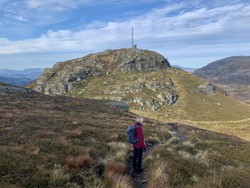 Grønhovudet