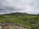 Syndre Gråhøa