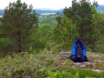 Vårååsen