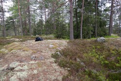 Røysekollen