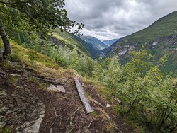 Brotet