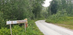 Rørvassvegen